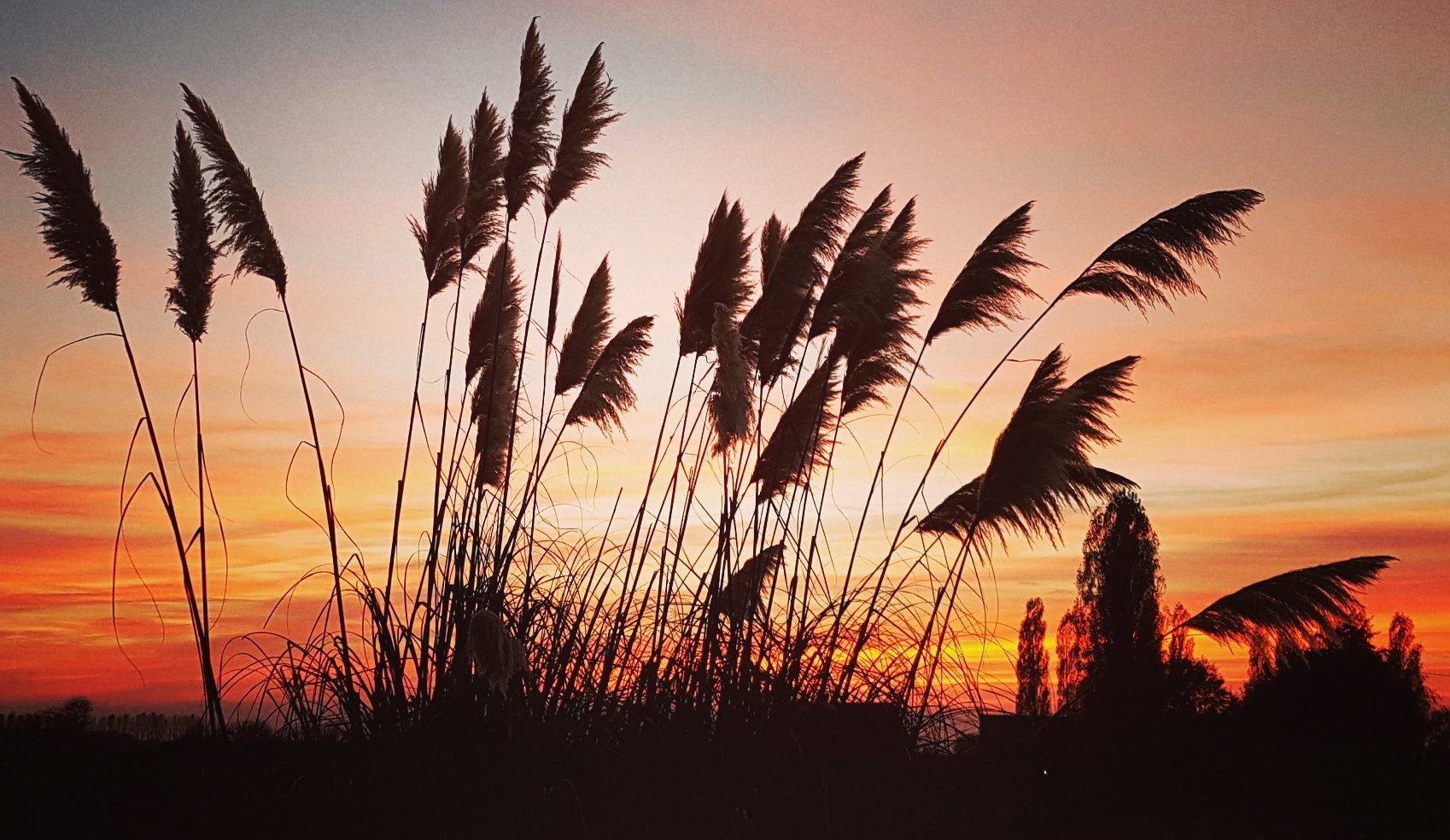 location-vacances-nature-normandie